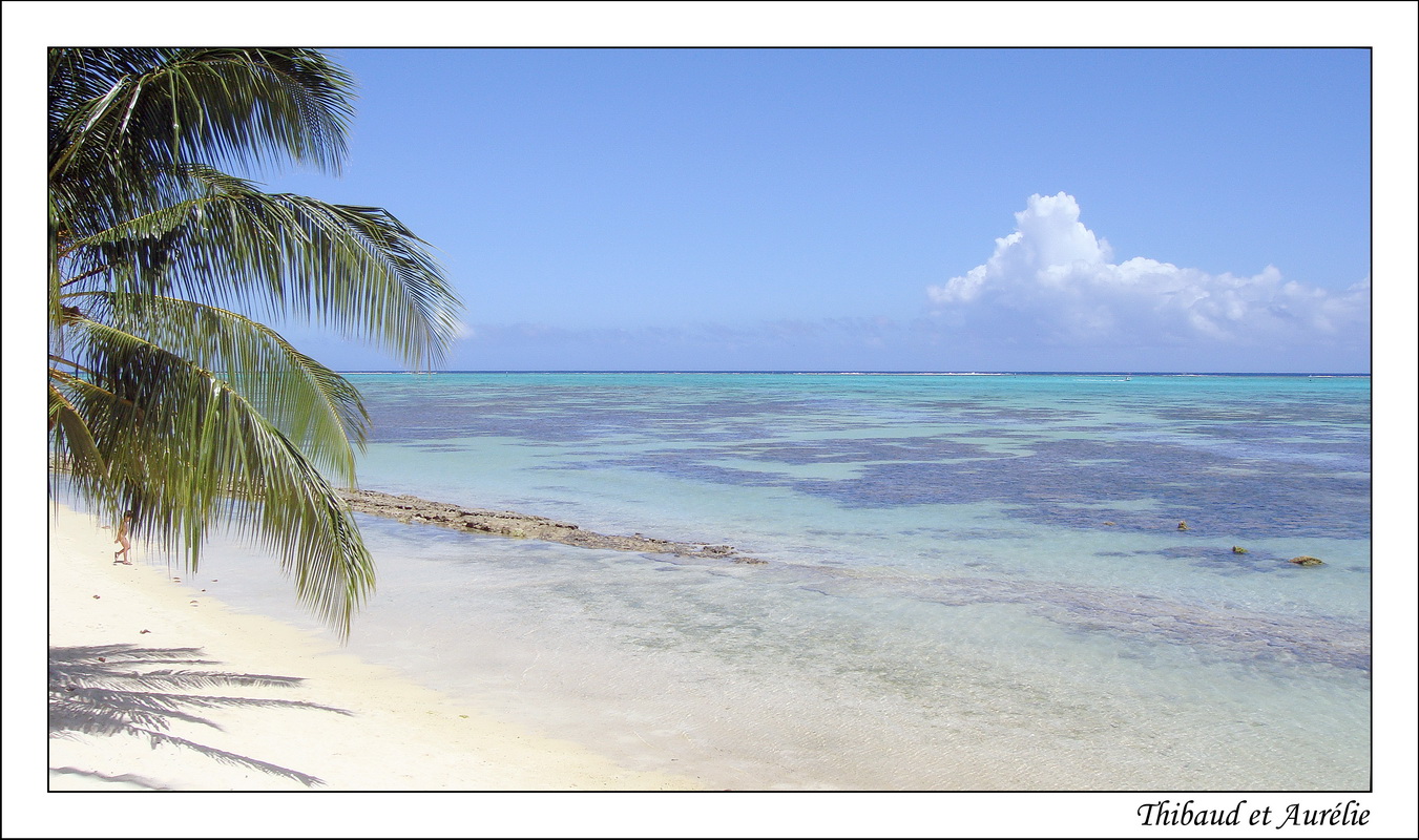 2009 - 08 - Moorea 03
